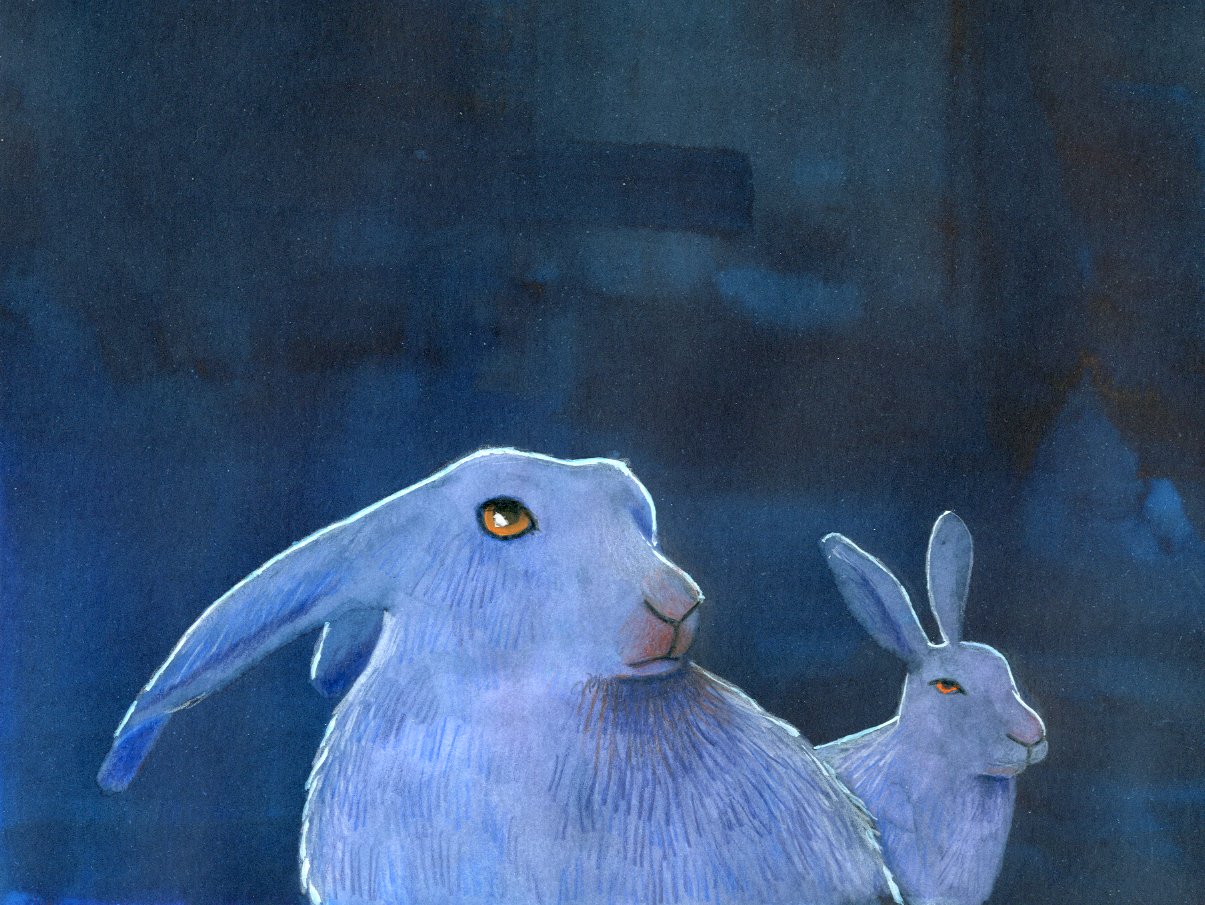 Rabbit
